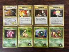 マチス・エリカ8枚セット