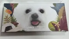 Perfect Diary Discovery アイシャドウパレット 犬