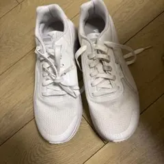 Item thumbnail for item 6dbe4013-1b63-48c2-b3a6-0c2225e5de33