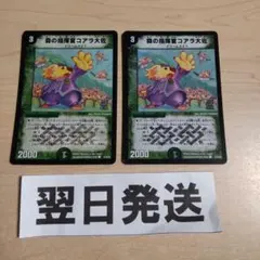 ⒂ 森の指揮官コアラ大佐 初期版ホイル 2枚 カティノカード