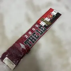 Item thumbnail for item e322d615-1a3b-4b65-bf94-0c2e6902674e