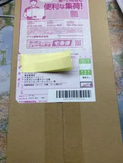 ポケモンカードゲーム スペシャルBOXヒロシマ　未開封品