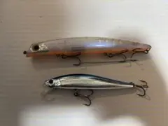 激レア☆早い者勝ち☆ウォーターランド スケルトンミノーF 2点セット