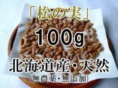 2026年最新】殻付き松の実の人気アイテム - メルカリ