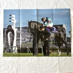 2026年最新】JRAイクイノックスの人気アイテム - メルカリ