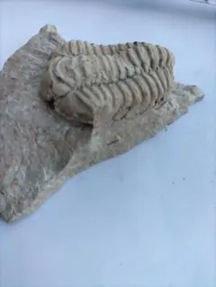 Item thumbnail for item ca5d7ceb-b356-498c-82b8-df5070989a07