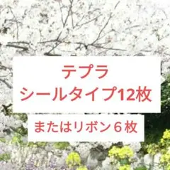 テプラ シールタイプ12枚、または、リボンタイプ6枚