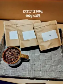 自家焙煎珈琲豆　お任せ300ｇ