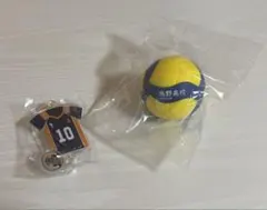 ハイキュー‼︎ ミカサ　キーホルダー　日向翔陽　バレーボールスクイーズ　烏野高校