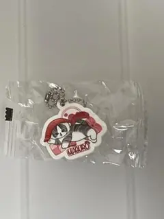 mofusandびっくらポンラバーチャーム1まぐろ、