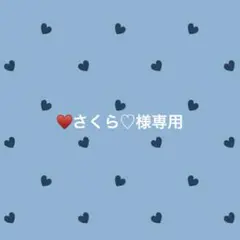 大きめ可愛い ペーパークリップ バインダー貯金 a13