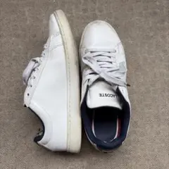 LACOSTE スニーカーのサムネイル