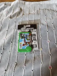 ポケモン メガスタンプラリー2025 メガルカリオ