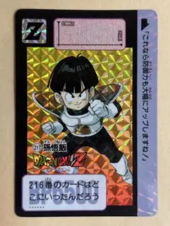 ドラゴンボールZ カードダス 孫悟飯 217