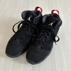 NIKE JORDAN LUKA PF 27.5 ジョーダンルカ1 ブレッド - メルカリ