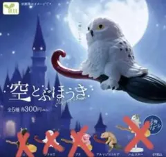 空とぶほうき　アルマジロトカゲ