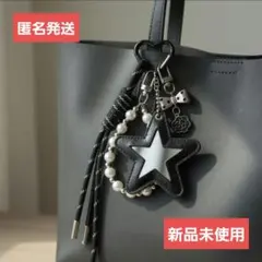 キーホルダー バッグチャーム ストラップ 人気 キーリング スター パラコード