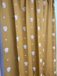 カーテン100×100