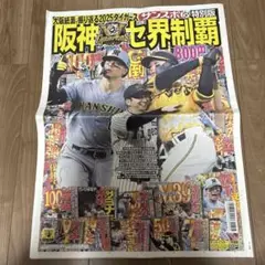 阪神タイガース 2025年リーグ優勝特別号