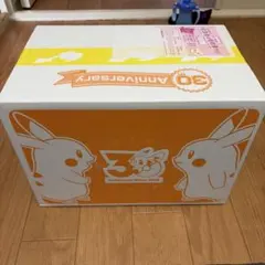 ポケモン　はじまりのピカチュウ　ぬいぐるみセット　新品未開封品