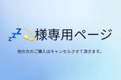 zzzさま専用ページ