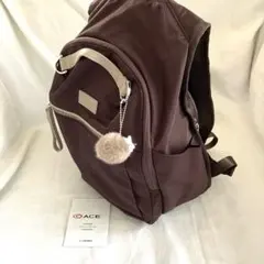 【極美品】カナナプロジェクト リュック PJ-15 ライトリーバッグ 11L 茶のサムネイル