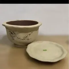 陶器　植木鉢　盆栽鉢　絵鉢　レトロ　受け皿セット