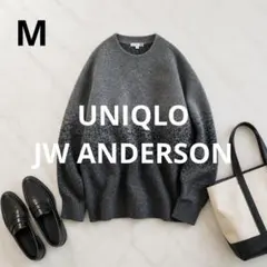 n691【UNIQLO】スフレヤーングラデーションクルーネックセーター