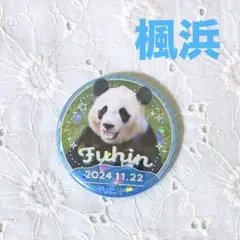 アドベンチャーワールド パンダ 楓浜 缶バッジ　リメンバー　2点 Amazon.co.jp: アドベンチャーワールド ブラインド缶バッジ 5個