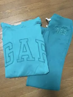 GAP セットアップ