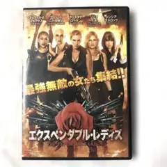 エクスペンダブル・レディズ('14米) セル版DVD