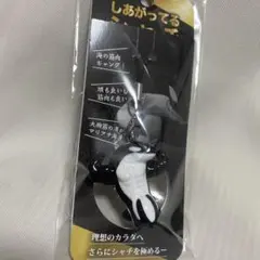 あがってるシャチ　須磨シーワールド　岩本照　スノーマン