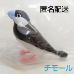 文鳥 コレクション 3 チモール 가챠 フィギュア ミニチュア 青 くちばし