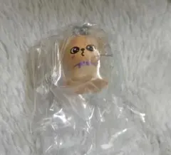 Stray Kids スキズ めじるしアクセサリー パピーム