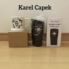 2026年最新】カレルチャペック 食器の人気アイテム - メルカリ