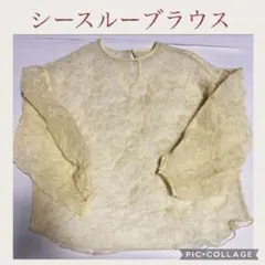 未使用　シースルー　イエロー　ブラウス　長袖