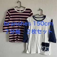 branshes ブランシェス　150cm 7分袖Tシャツ　ボーダー　２枚セットのサムネイル