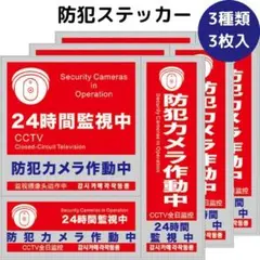 Item thumbnail for item 19673f4a-cba1-40c3-ac33-72ebaaeaedfe