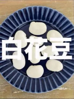 Mikiko Kasai様 リクエスト 2点 まとめ商品