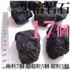 黒溶岩石No.817 水槽 アクアリウム 苔テラリウム ビオトープ メダカ