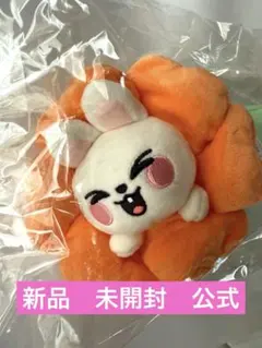 ♡新品未開封skzoo Stray Kids ペンケース　リービット　リノ　公式