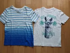 GAP Tシャツ130cm 2枚まとめ売り ボーダー ラマ柄のサムネイル