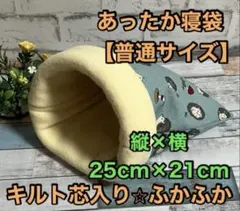 Item thumbnail for item b343de68-53ee-4e12-8ed4-5fbfd7c45a68