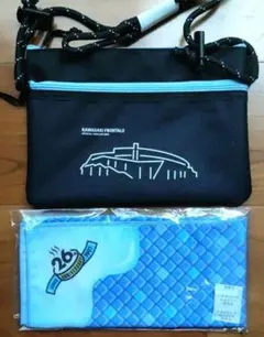 Item thumbnail for item a95d69fd-9bbf-400d-a622-9136e5cd937c