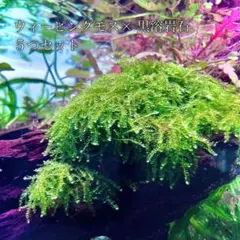 emisora様 リクエスト 2点 まとめ商品