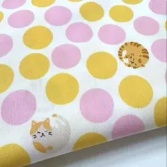 Item thumbnail for item 75ebd8b4-64aa-45d6-ba75-edc25fb34249