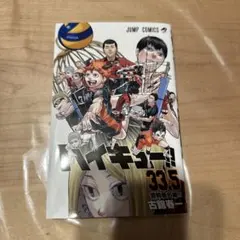 ハイキュー!! 33.5巻 劇場版 ハイキュー ゴミ捨て場の決戦 映画 入場特典