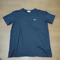 LACOSTE ラコステ Tシャツ ネイビー 3