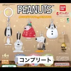 【新品未開封】スヌーピー　めじるしアクセサリー　コンプリート　FUNNYver.