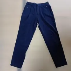 Loro Piana ロロピアーナ コーデュロイパンツ 36 ストレッチ　綿 Loro Piana ロロピアーナ コーデュロイパンツ コバルトブルー - メルカリ